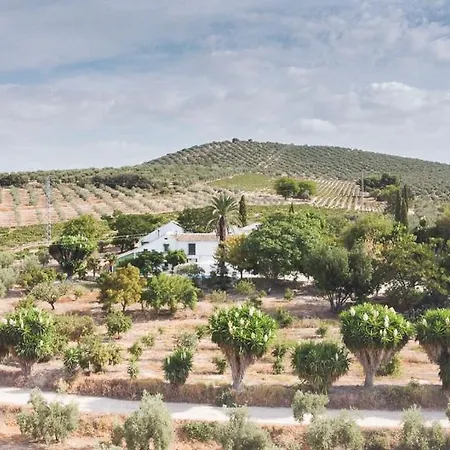 Cortijo Don Simon Villa Córdoba Buitenkant foto