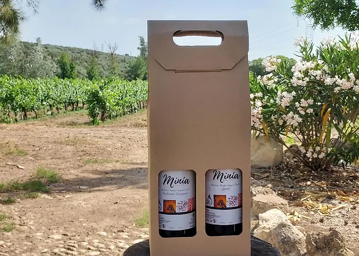 Cortijo Don Simon