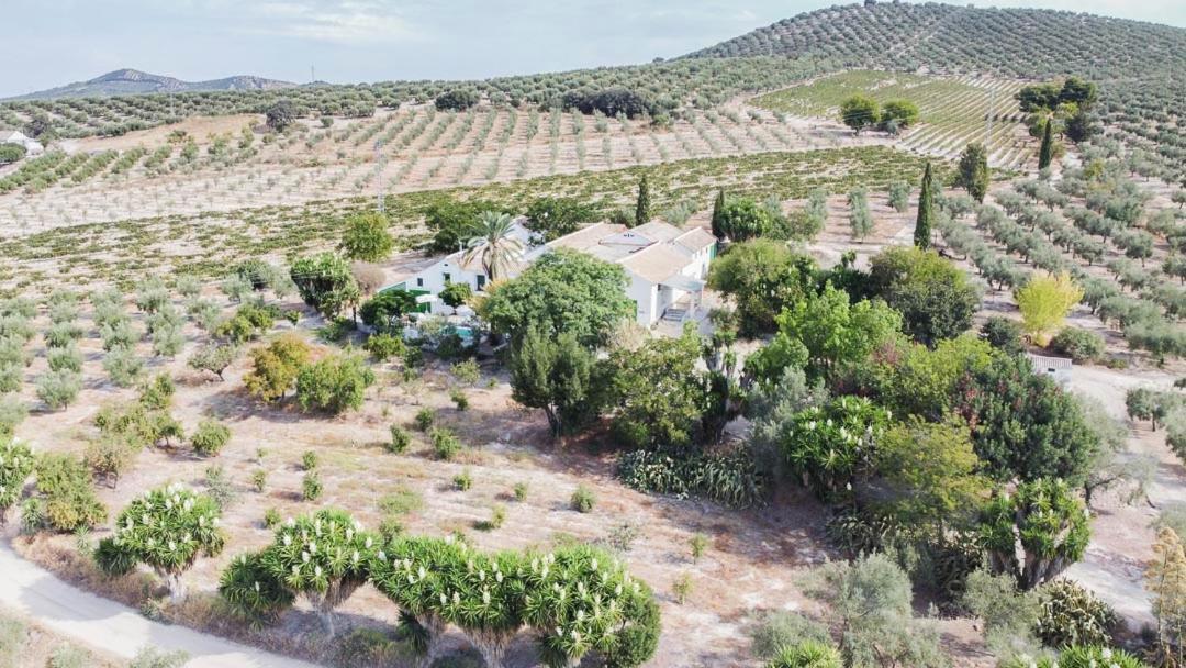 Cortijo Don Simon Holiday home *