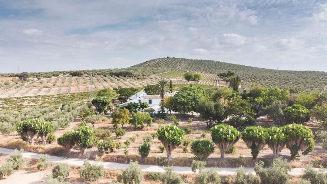 Cortijo Don Simon