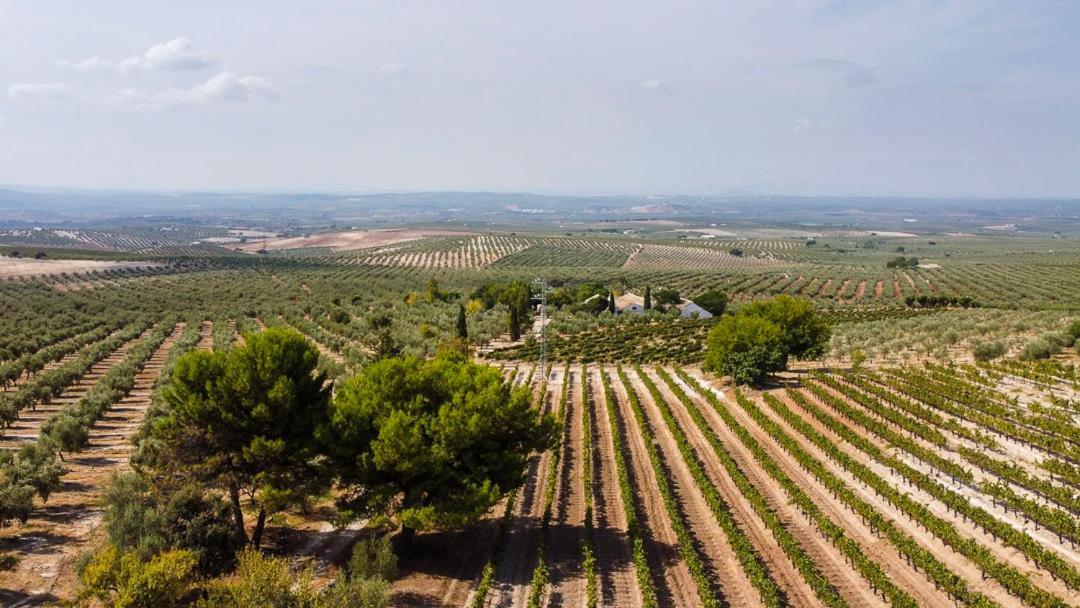 Cortijo Don Simon Holiday home *